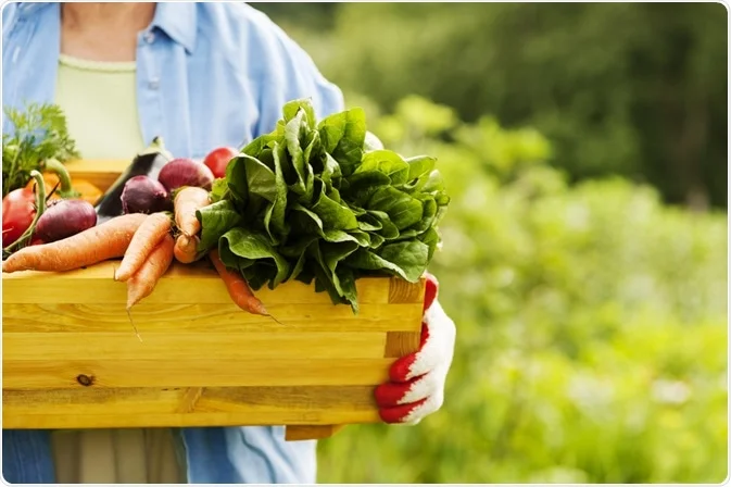 De la huerta a la alta cocina: alimentos orgánicos