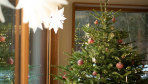 arbol 1