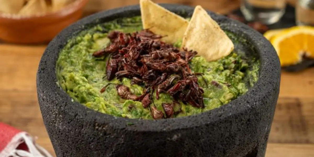 guacamole con chapulines