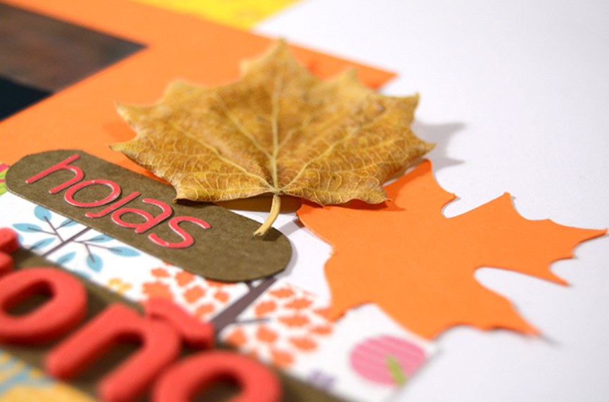 09 tarjetas de otoño