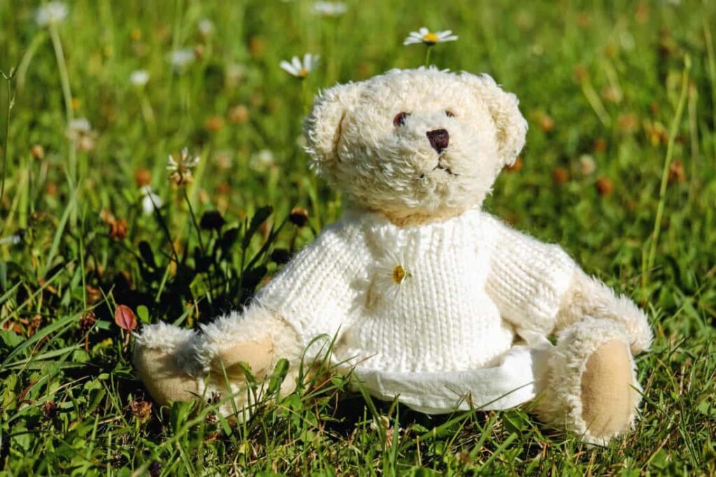 peluche en la naturaleza
