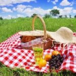 El platillo de picnic que más cuidado requiere